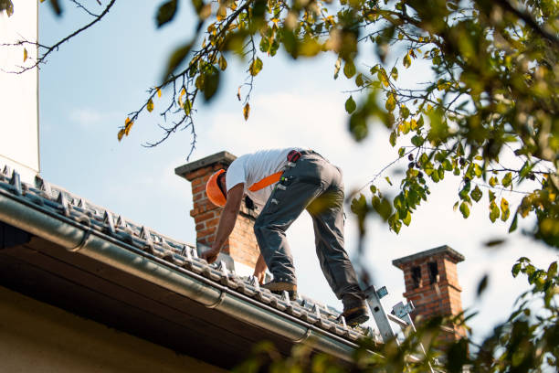 Best Flat Roofing  in Northeast Ithaca, NY