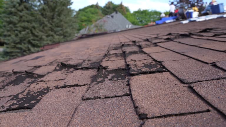 Best Hot Roofs  in Northeast Ithaca, NY