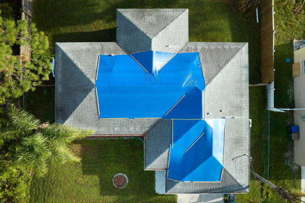 Best Storm Damage Roof Repair  in Northeast Ithaca, NY