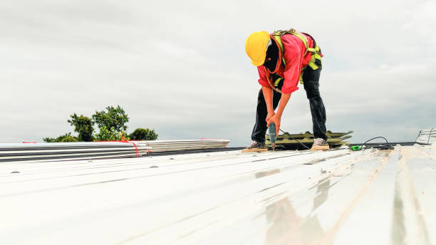 Best Solar Panel Roofing Installation  in Northeast Ithaca, NY