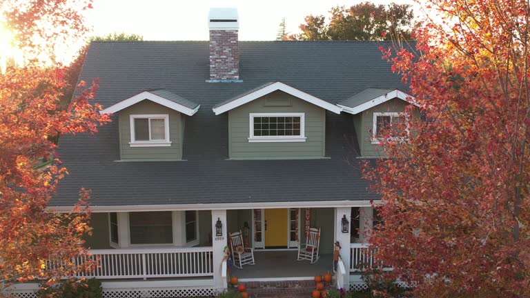 Best Roof Moss and Algae Removal  in Northeast Ithaca, NY