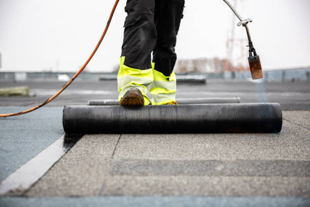 Best Steel Roofing  in Northeast Ithaca, NY
