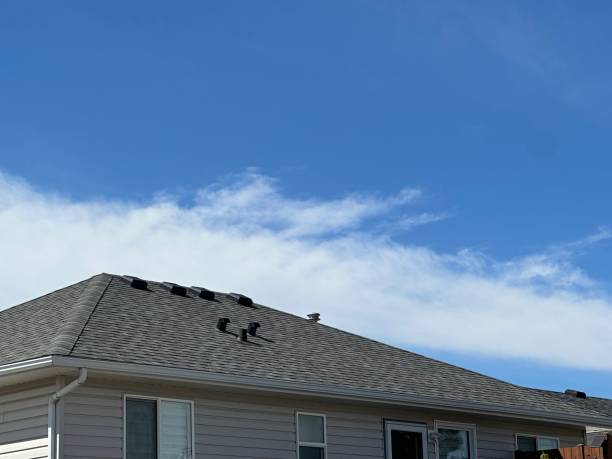 Best Sheet Metal Roofing  in Northeast Ithaca, NY